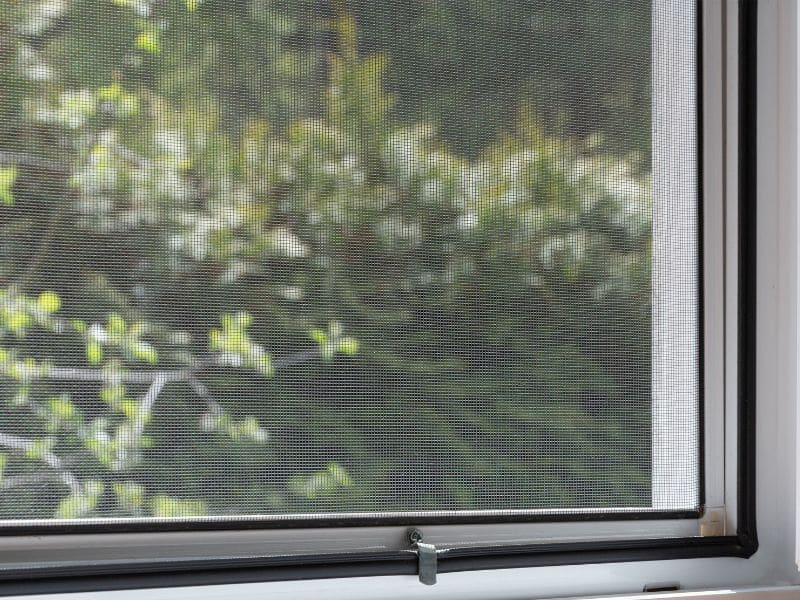 mosquiteras enrollables terraza portada